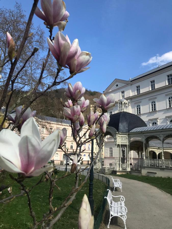 Apartment Sadova Karlovy Vary Ngoại thất bức ảnh